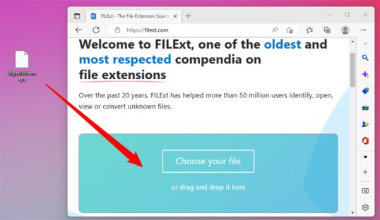 Использование веб-сайта FILExt в качестве неизвестного открывателя файлов