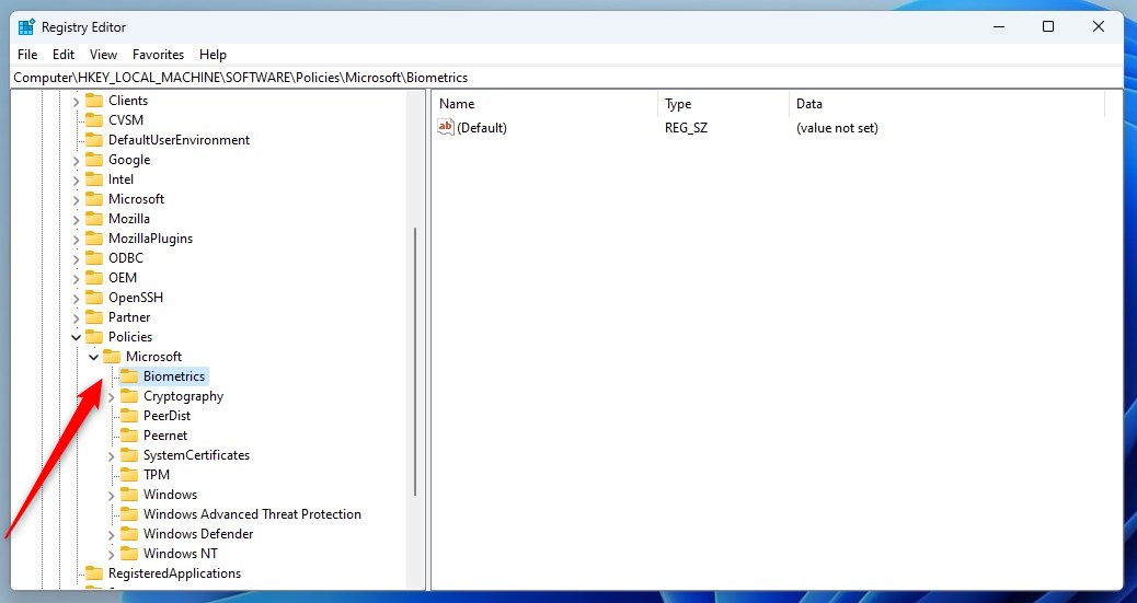 Windows позволяет использовать биометрический реестр Windows