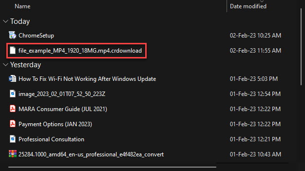 пример файла crdownload