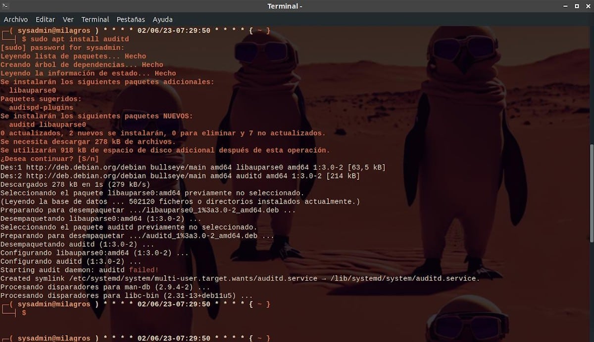 Как установить и использовать команду Auditd?