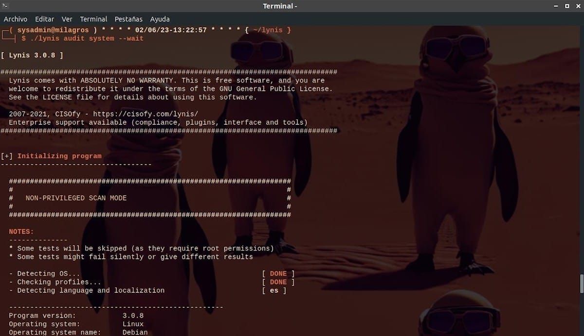Lynis - Информация о загрузке - Скриншот 1