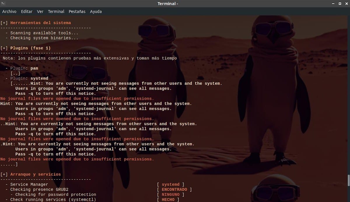 Lynis - Информация о загрузке - Скриншот 3