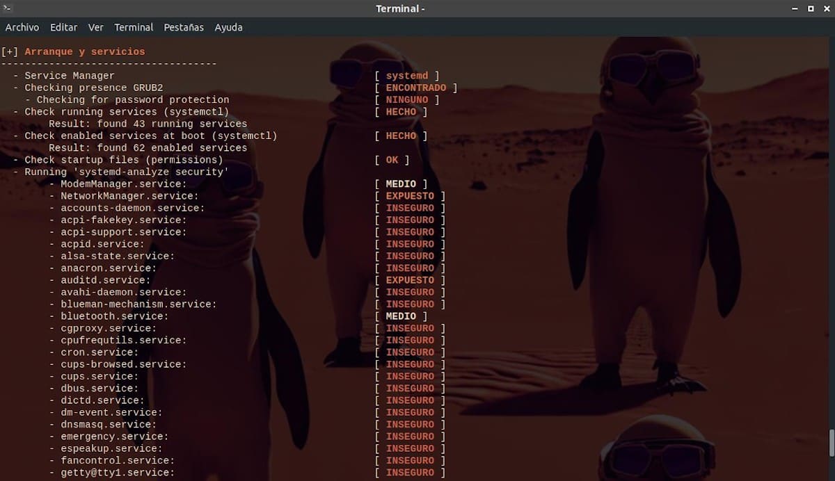 Lynis - Информация о загрузке - Скриншот 4
