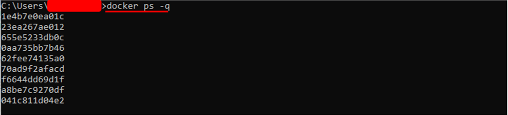 Вывод идентификаторов контейнеров