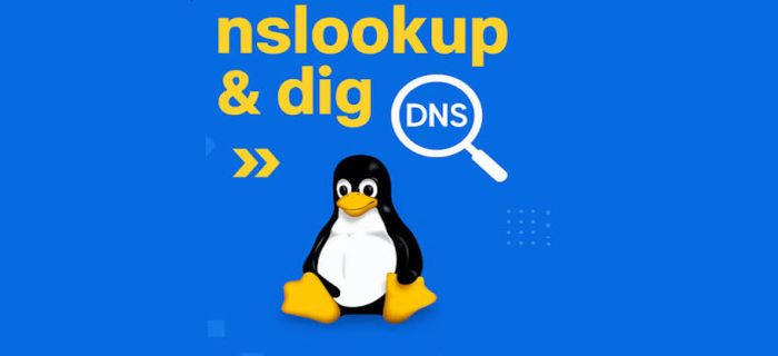linux dns lookup