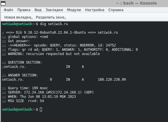 Использование команды dig в Linux