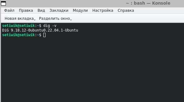 Версия команды dig