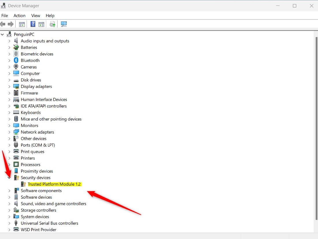 Проверьте версию TPM в Windows 11