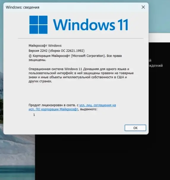 winver windows 11