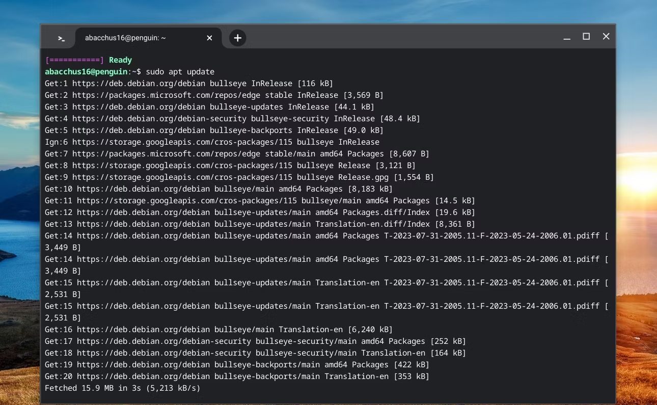 Как запускать приложения Linux на Chromebook