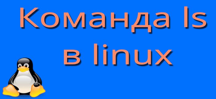 Команда ls в Linux