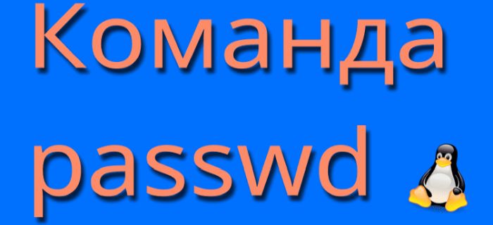 Команда passwd в linux обзор с примерами использования