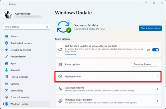Перейдите в историю обновлений в Windows 11.