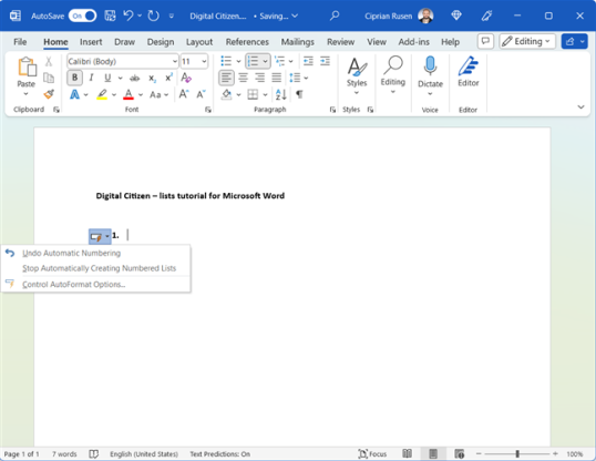 Нажав на Auto Correct, вы получите доступ к нескольким параметрам.