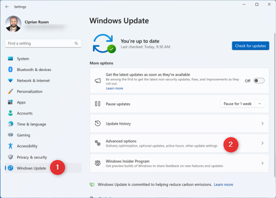 Перейдите в Центр обновления Windows > Дополнительные параметры в настройках Windows 11.