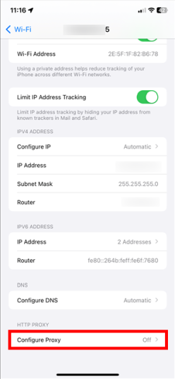 Доступ к настройке прокси на iPhone