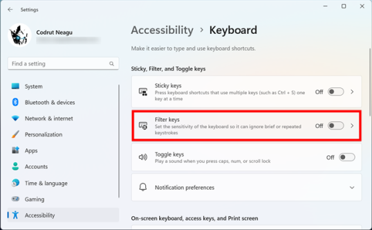 Запись «Ключи фильтра» в разделе «Специальные возможности» Windows 11.