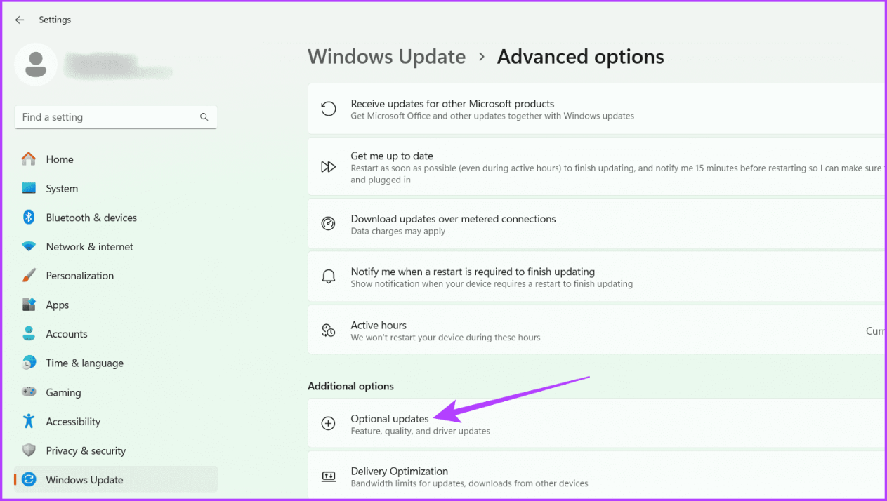 Нажмите «Дополнительные обновления».