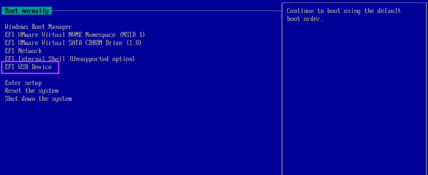 Основное загрузочное устройство
