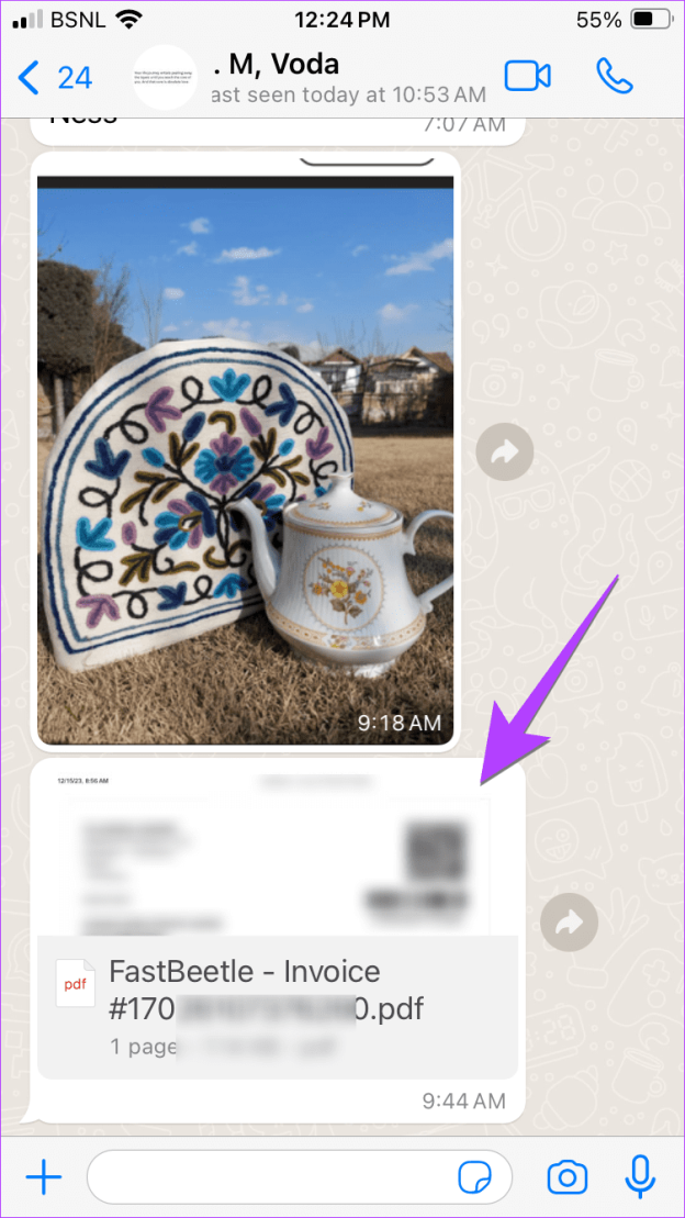 Документ WhatsApp на iPhone в полноэкранном режиме