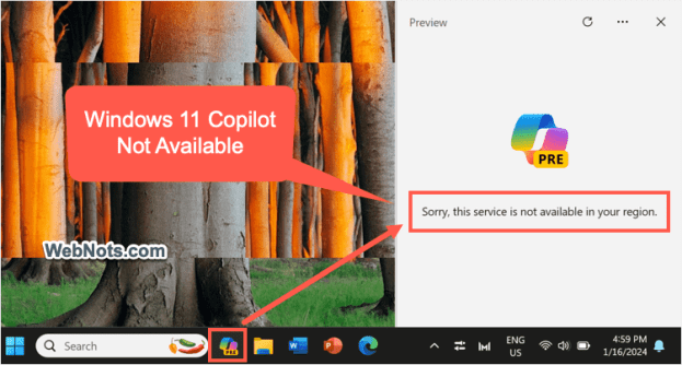 Второй пилот недоступен в Китае