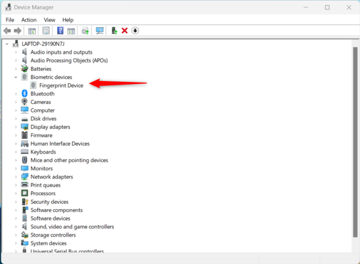 Отображается ли устройство со сканером отпечатка пальца в разделе «Биометрические устройства»?