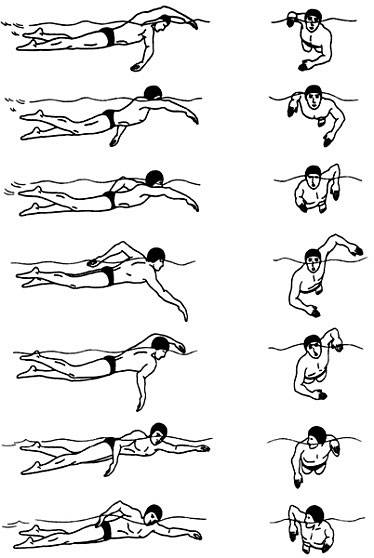 Плавание для похудения: как правильно плавать в бассейне