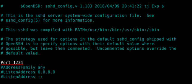 Ssh сервер debian что это