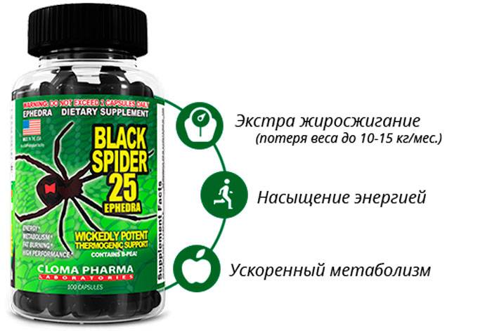 Black spider 25 ephedra: отзывы и рекомендации, назначение, форма выпуска, особенности приема, дозировка, состав, показания и противопоказания
