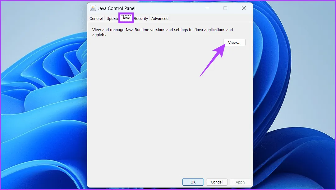 Перейдите на вкладку Java и нажмите кнопку «Просмотр».