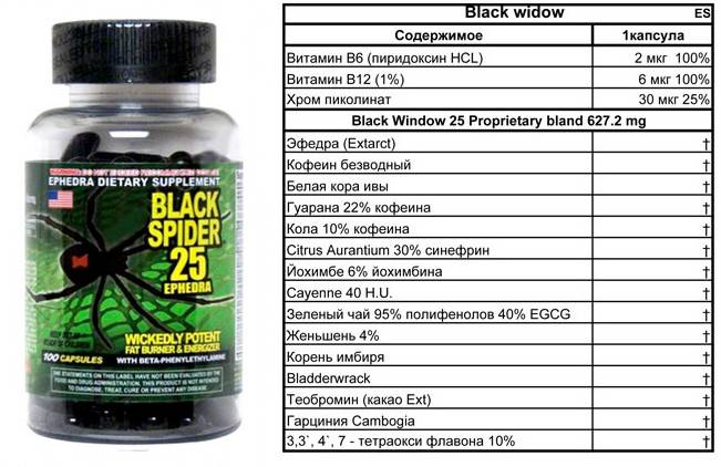 Black spider: отзывы о жиросжигателе 25 ephedra, cloma pharma, черная вдова, widow, инструкция по применению, цена, противопоказания