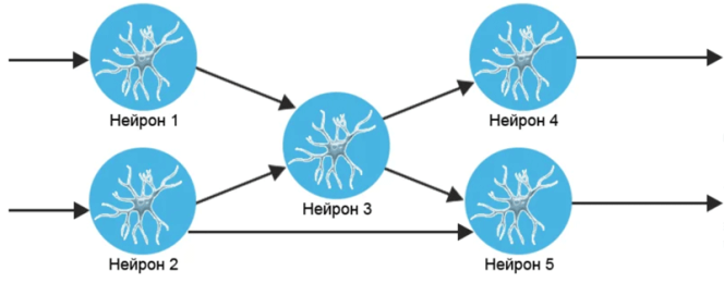Нейронные связи