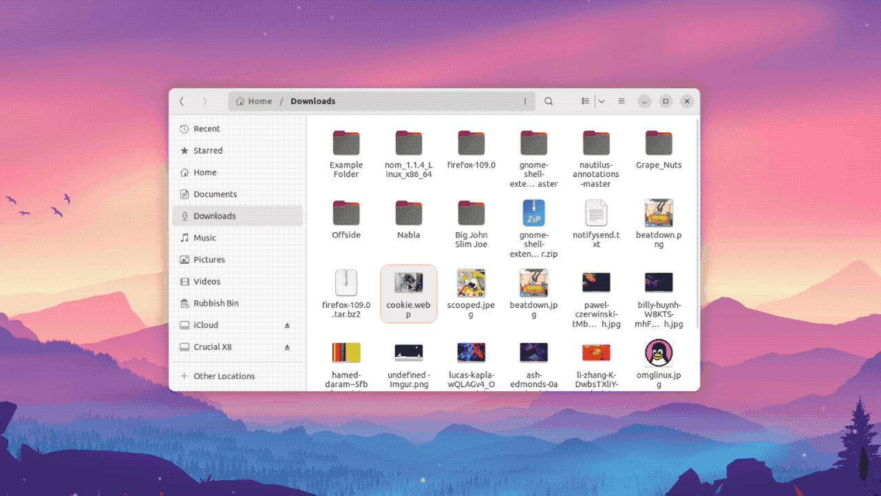 Включите этот параметр Nautilus для более быстрого перемещения файлов в Ubuntu