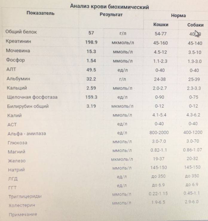 Cахар в крови и таблица с его нормами у женщин по возрасту