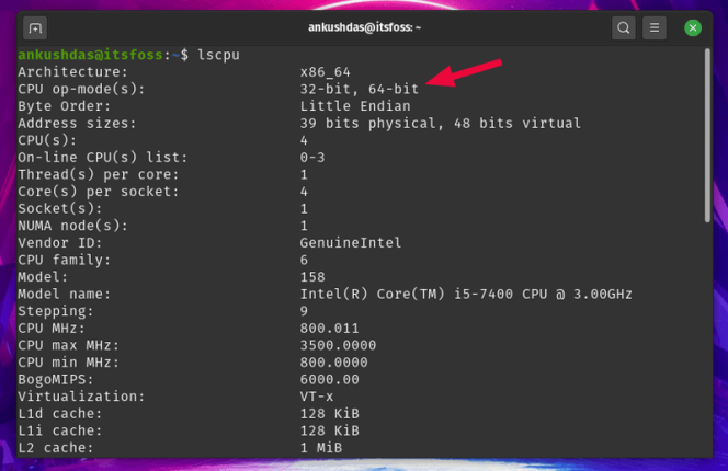 Какую версию Ubuntu стоит использовать? Объясняем на пальцах.