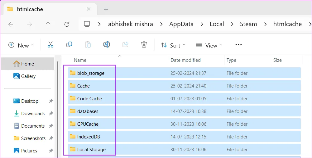 Очистите папку Htmlcache 4.