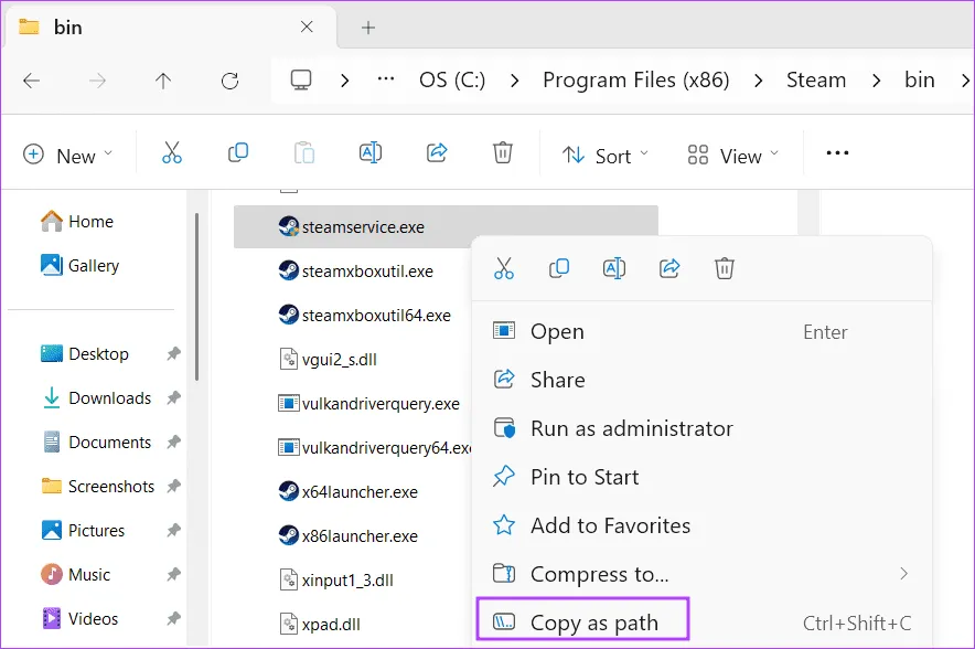 скопировать путь к сервису Steam