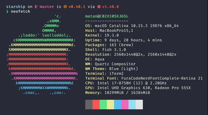 macos терминал