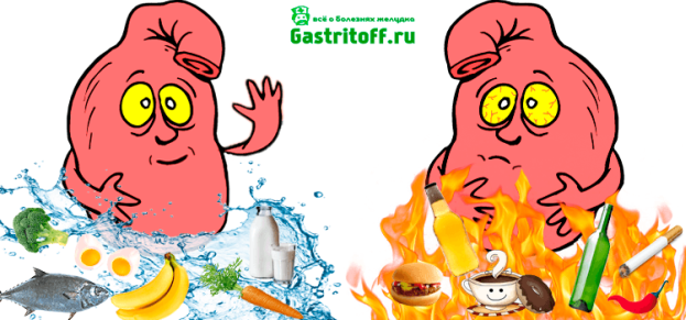 Полезно и вредно для желудка человека