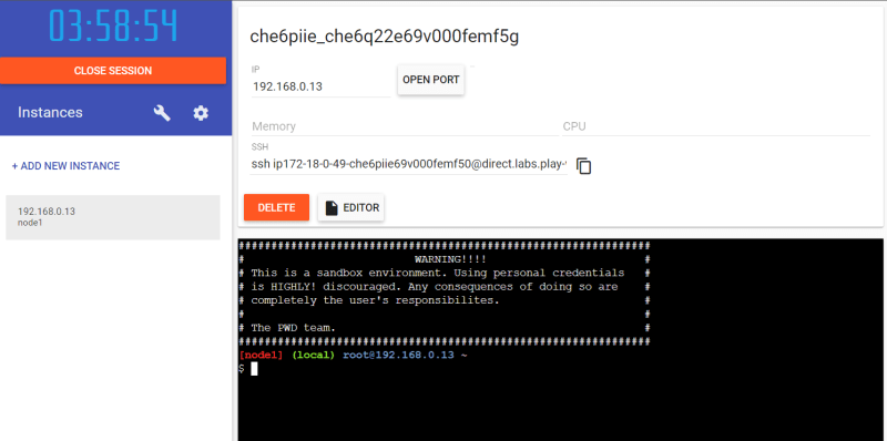 В правой части рабочего окна Play with Docker виден ID экземпляра и его IP-адрес, в нижней - терминал.