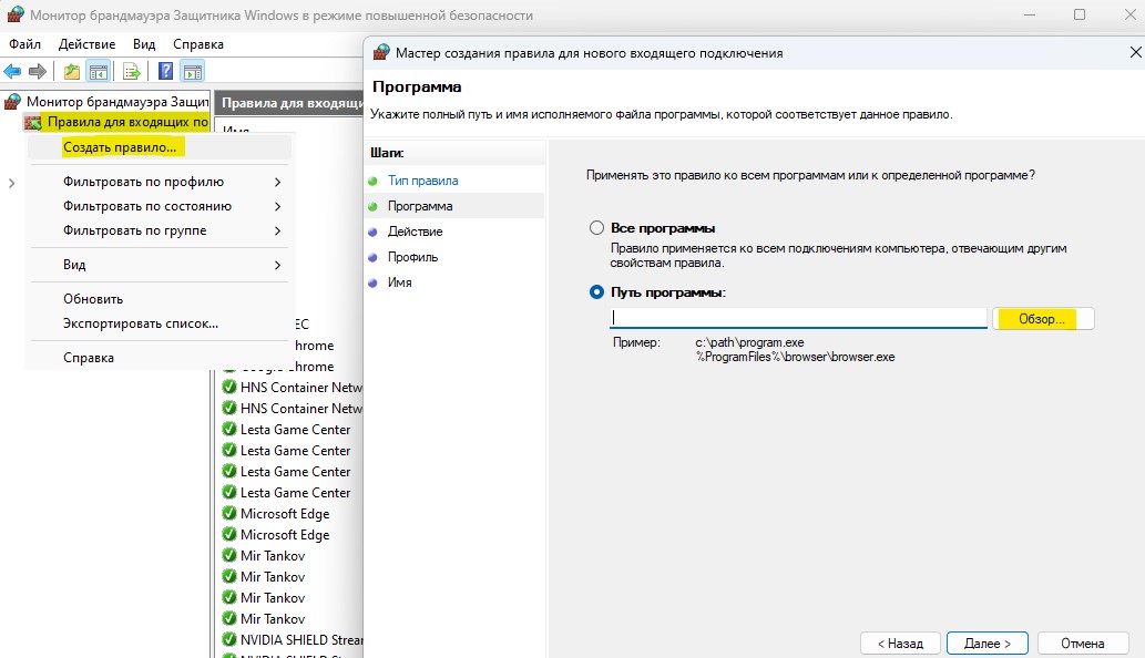 указать путь к AcWebBrowser.exe в брандмауэре