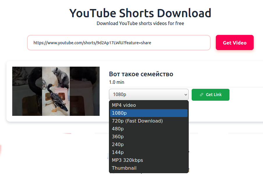 YouTube Shorts Downloader