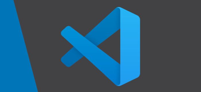 vscode настройка ide