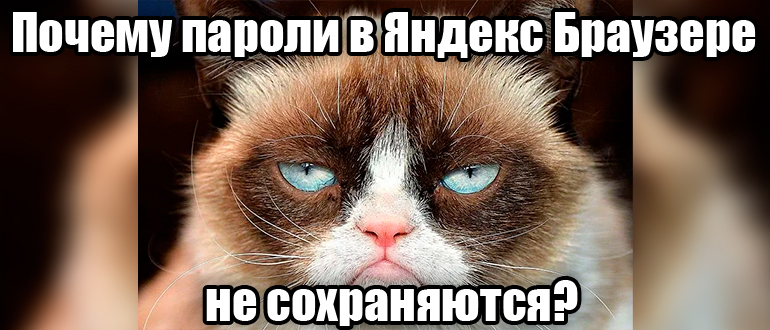 Почему не сохраняются пароли в Яндекс Браузере