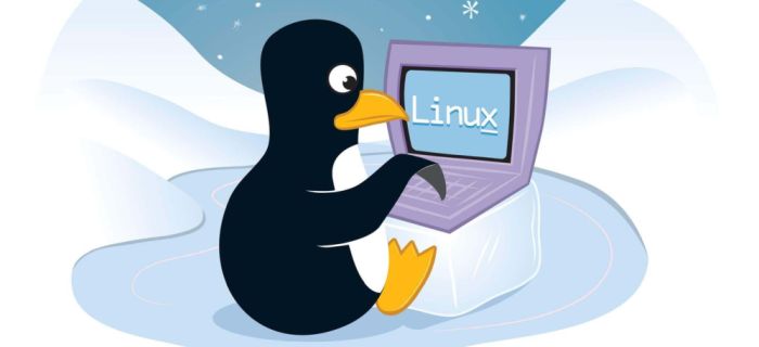 linux работа в терминале