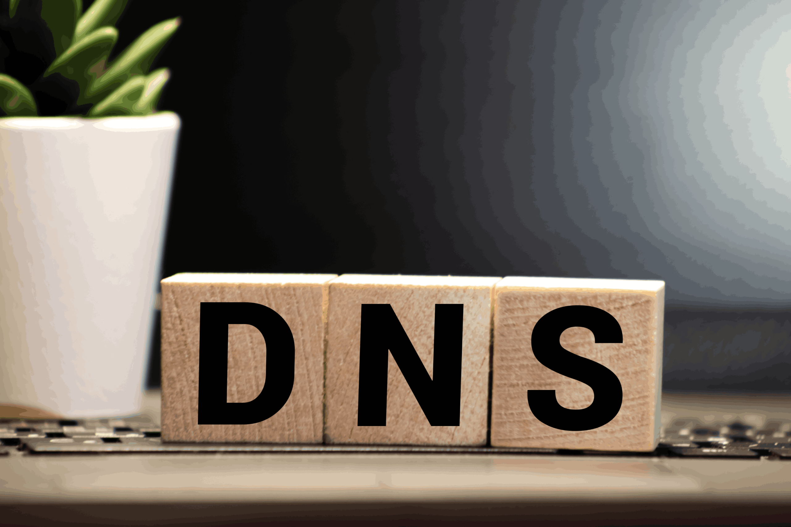 Различные типы DNS-серверов и как их выбрать Различные типы DNS-серверов и как их выбрать