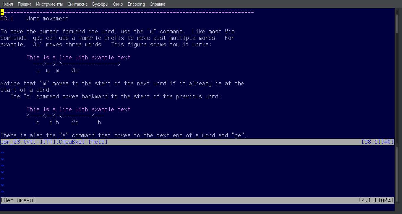 У Vim хорошая документация, просто набери :help и следуй инструкциям