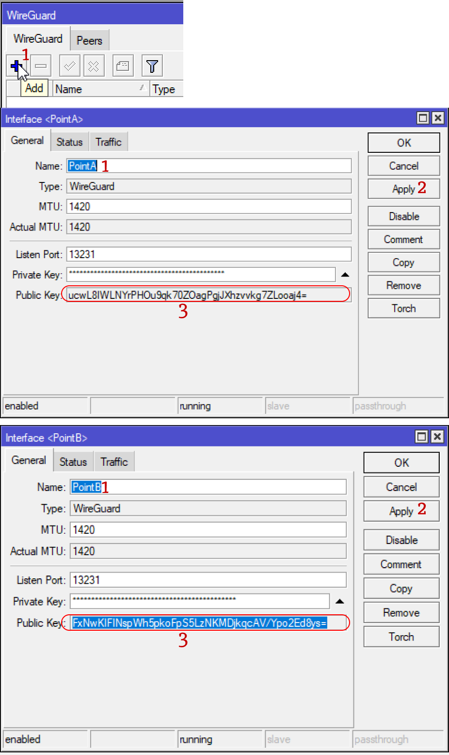 Создаем интерфейсы и копируем публичные ключи