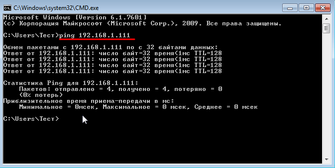 выполняем команду ping на виртуальной машине