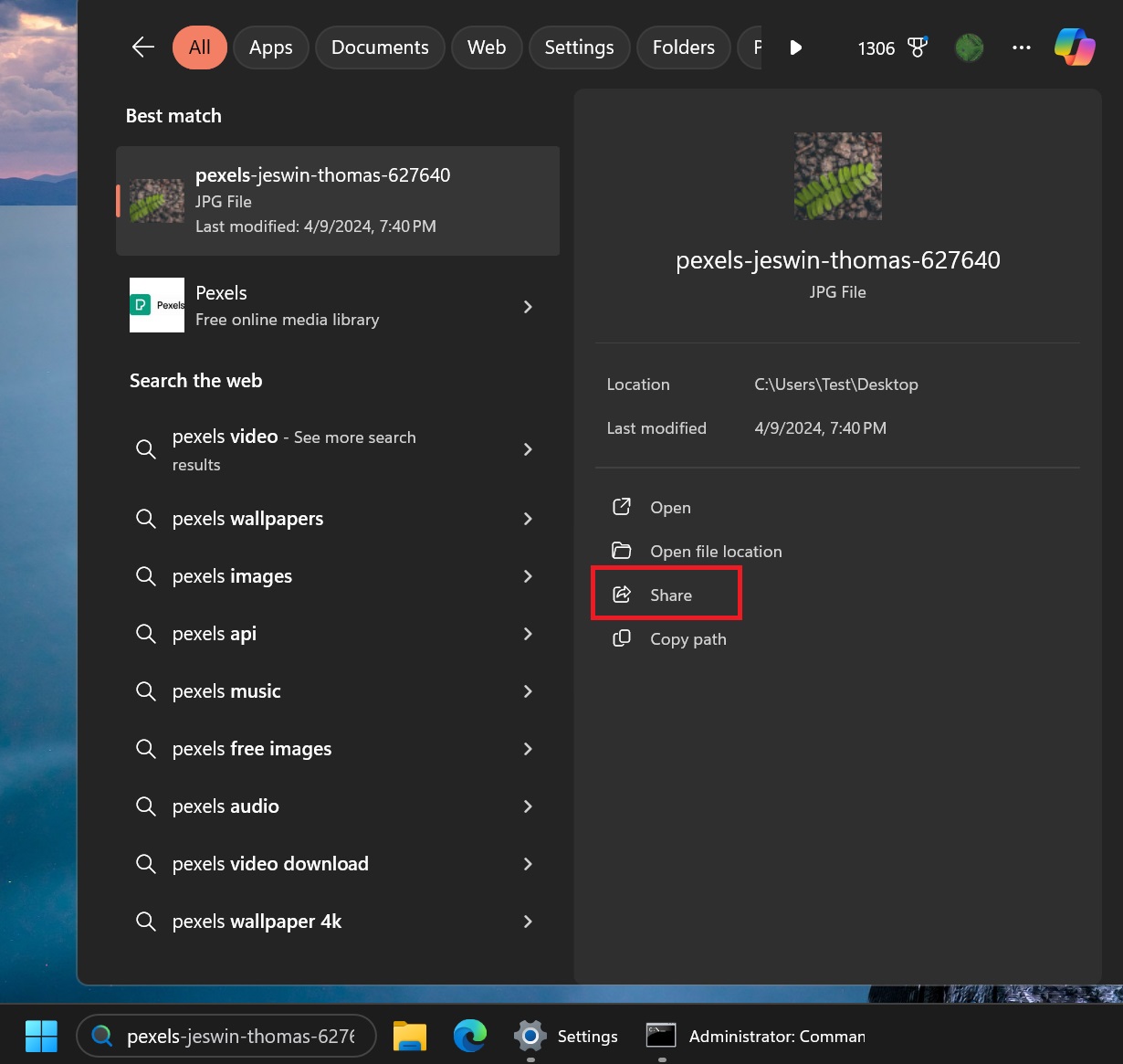 обмениваться файлами из поиска на панели задач в windows 11 24h2